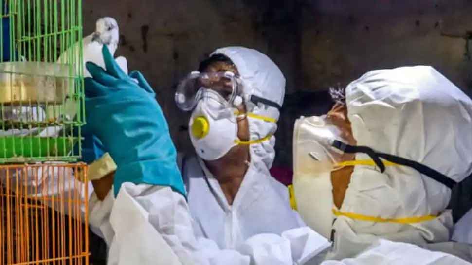 Bird Flu के खतरे को लेकर केंद्र सरक