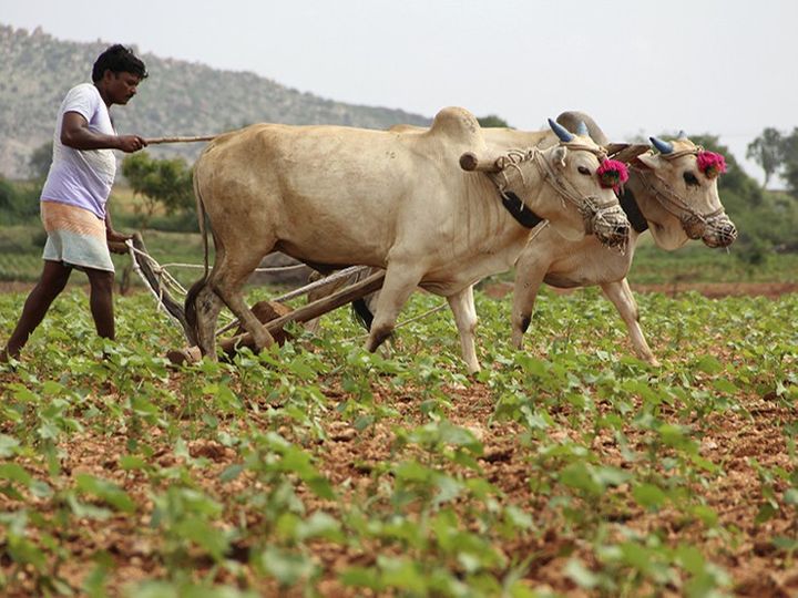 सिर्फ भगवान के भरोसे बैठने से पूरे 