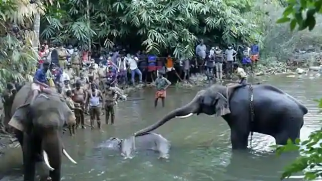 पर्यावरण मंत्रालय ने कहा, दुर्घटनाव