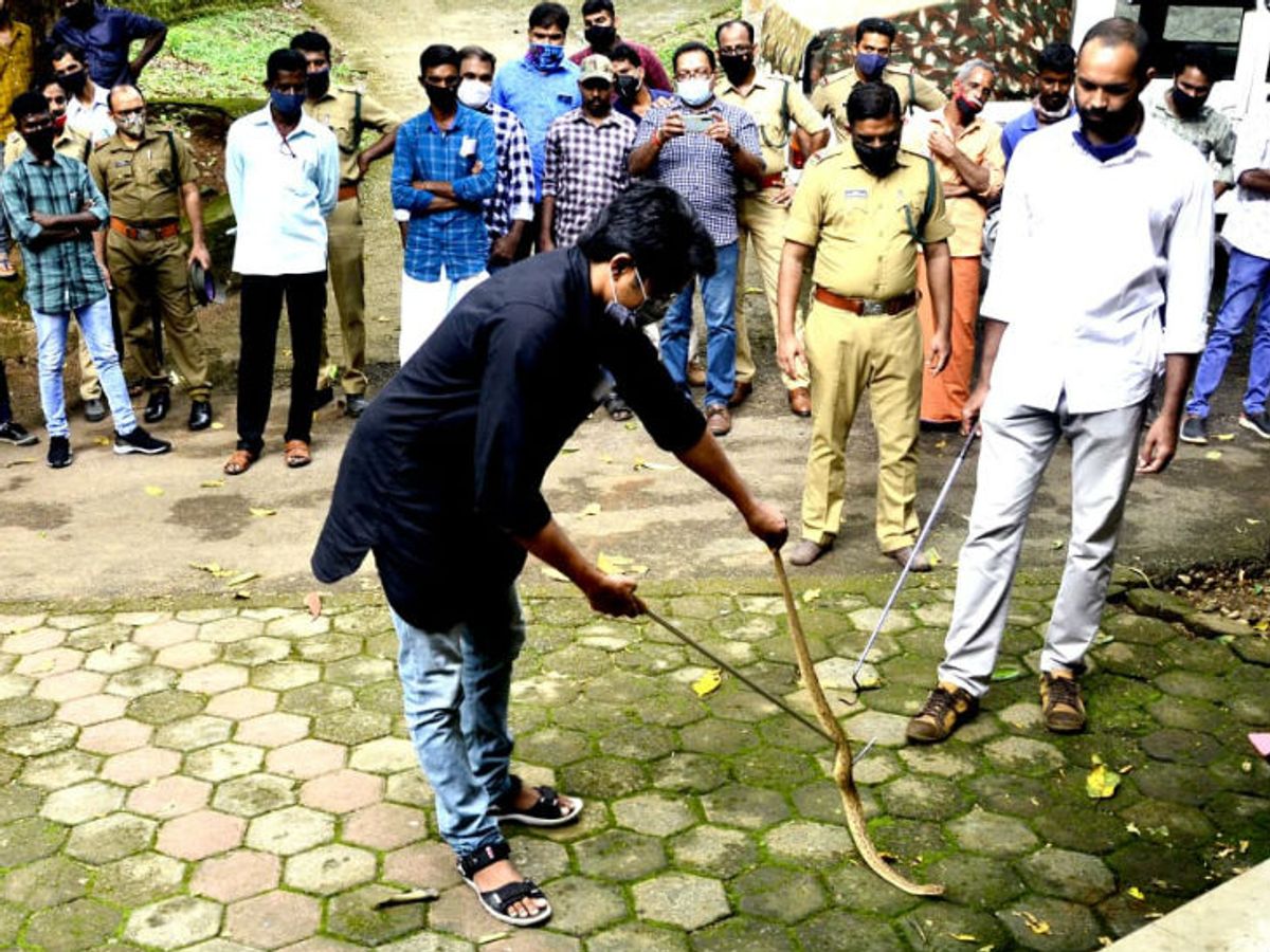 केरल सरकार सांप पकड़ने की ट्रेनिंग 