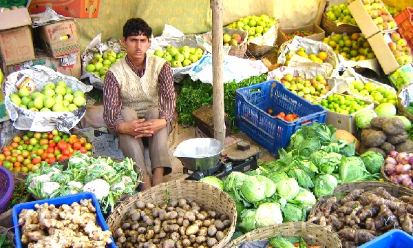 कामवाली बाई, सब्जी वाला सहित 15 उद्