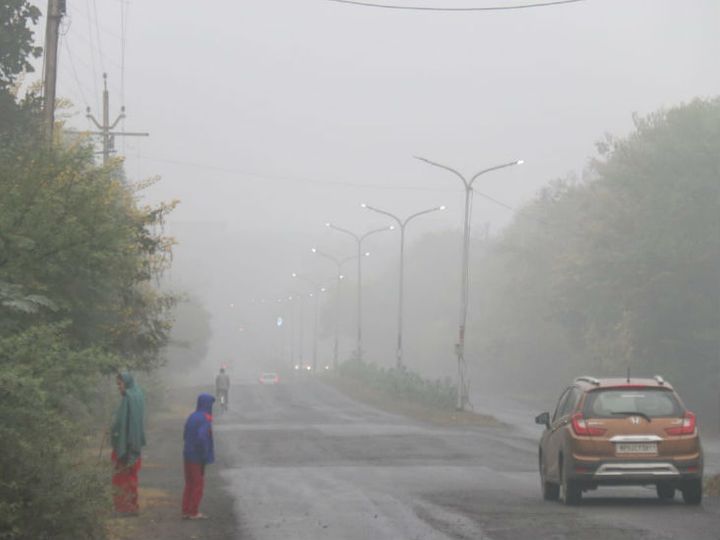 प्रदेश के अधिकांश हिस्सों में घना क