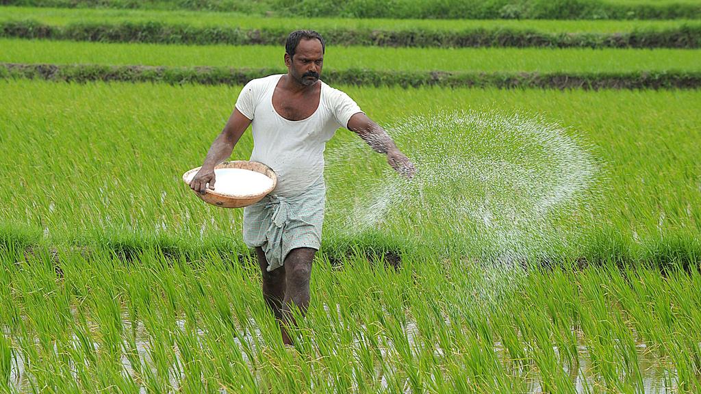 उपार्जन केन्द्रों पर 31 मई और सौदा 