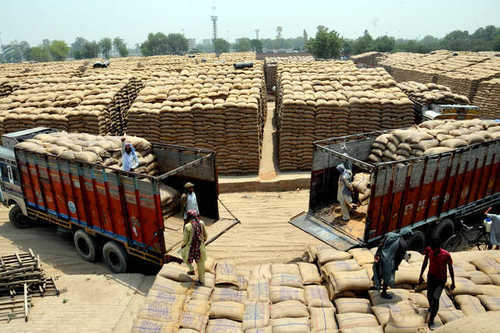 उपार्जित गेहूँ के परिवहन के सभी जिल